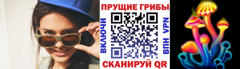 MEGA вход  Севск  Галлюциногенные грибы прущие грибы 